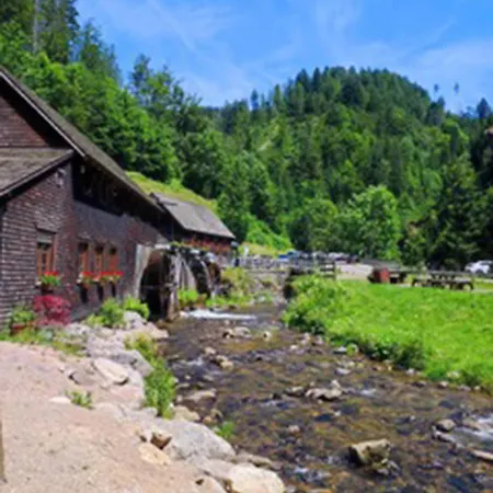Apartment Haus Strohmeier *