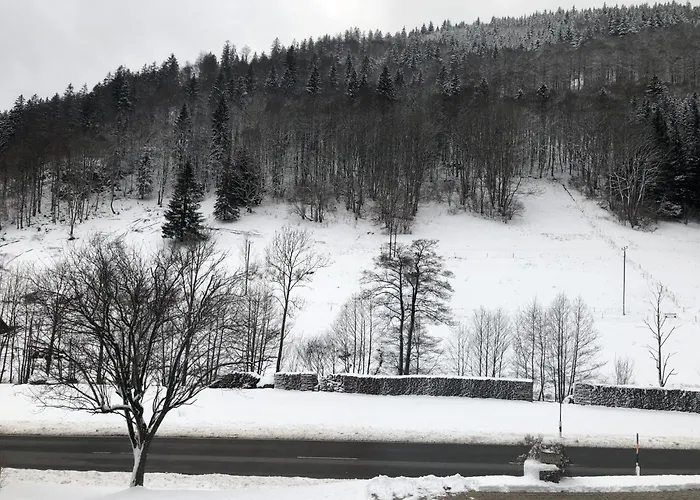 Lägenhet Haus Strohmeier Brandenberg